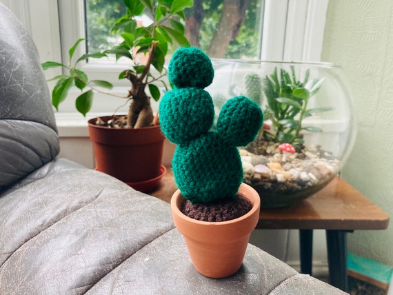 Gehkelter Kaktus, gehkelte Hasenohren Kakteen - Etsy.de