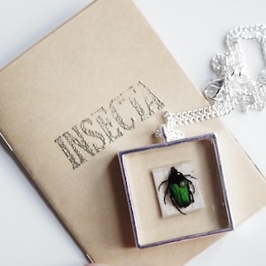 Beetle Necklace, Unique Antique Chafer Beetle Jewellery
