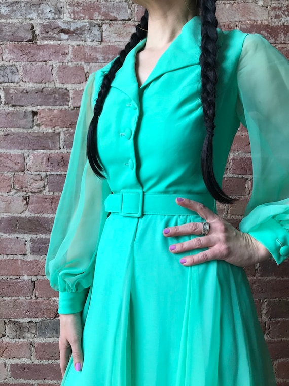 Vintage 70s Miss Elliette Maxi Dress | Long Sleeve Chiffon Cocktail Gown