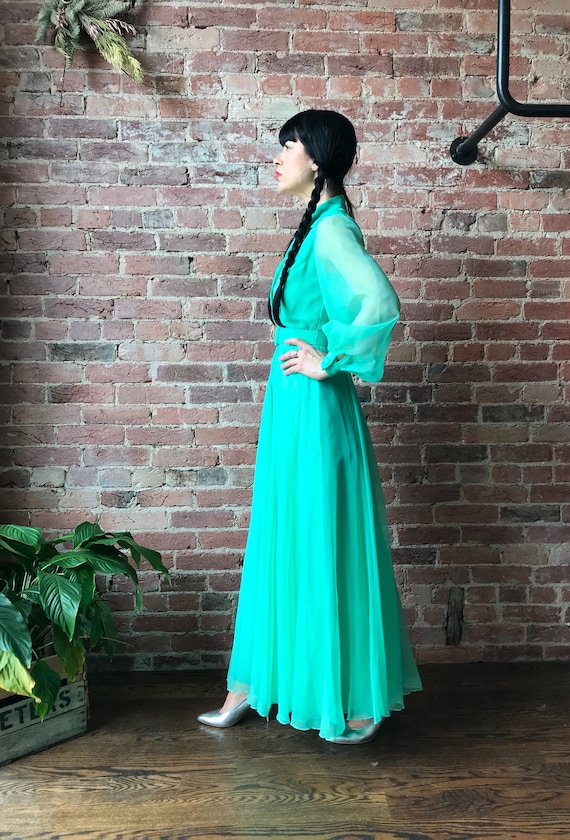 vintage 70s MISS ELLIETTE maxi dress | long sleeve ch… - Gem
