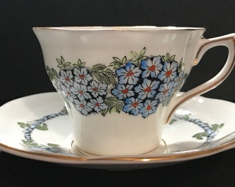 Vintage Rosina #4992 Hand Painted teacup and saucer