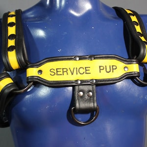 Servicio Pup arnés