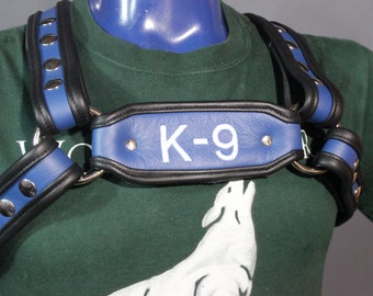 K9 Harness
