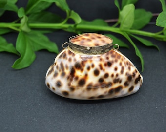 natural shell box, Tiger Leopard, Cowrie Shell, shell necklace, shell pendant, shell mini bag, sea jewelry, handmade, vintage crafts