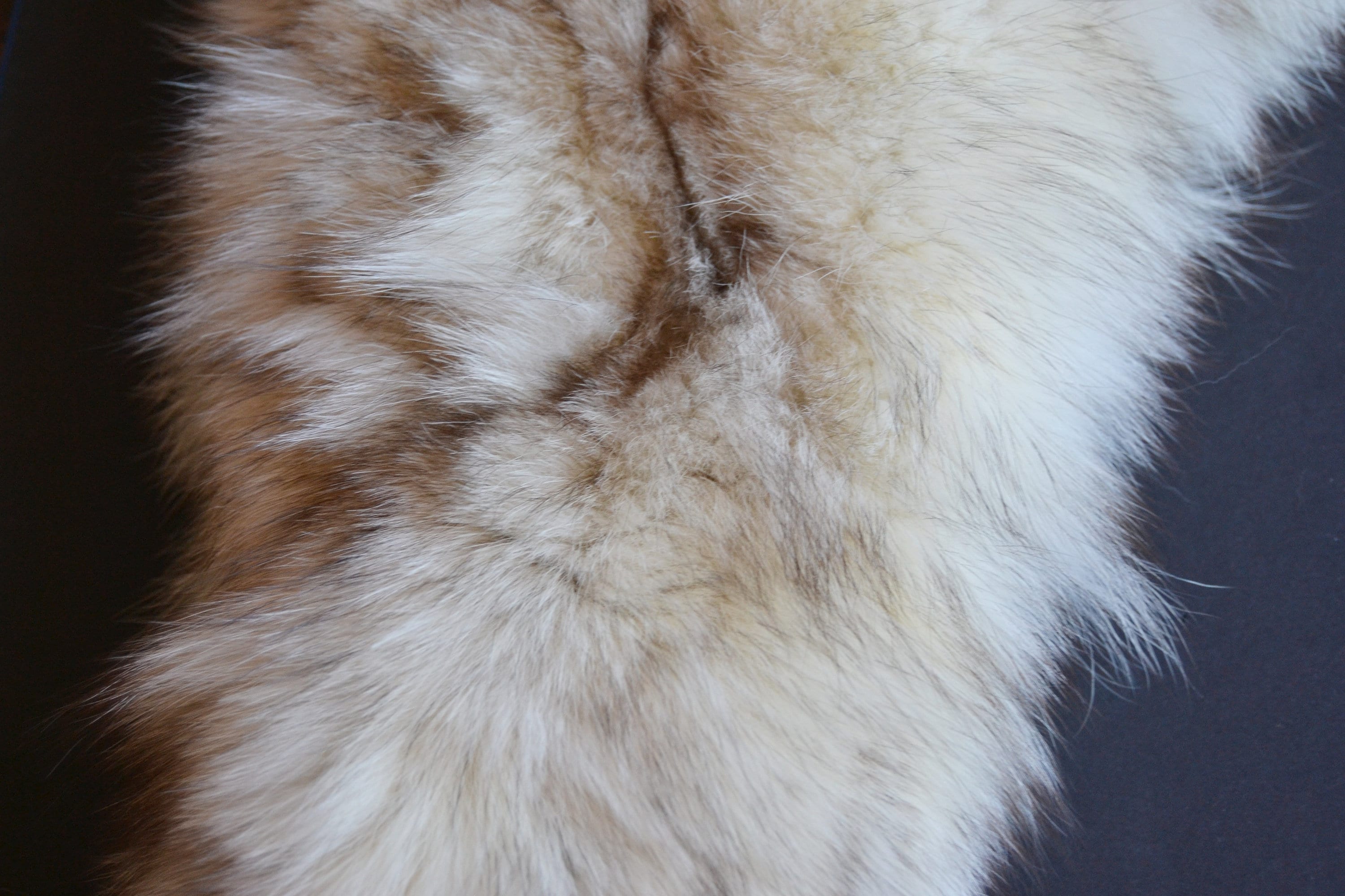 Col En Fourrure Renard Blanc Vintage - Années 40 - Taille Unique - En Très Bon état