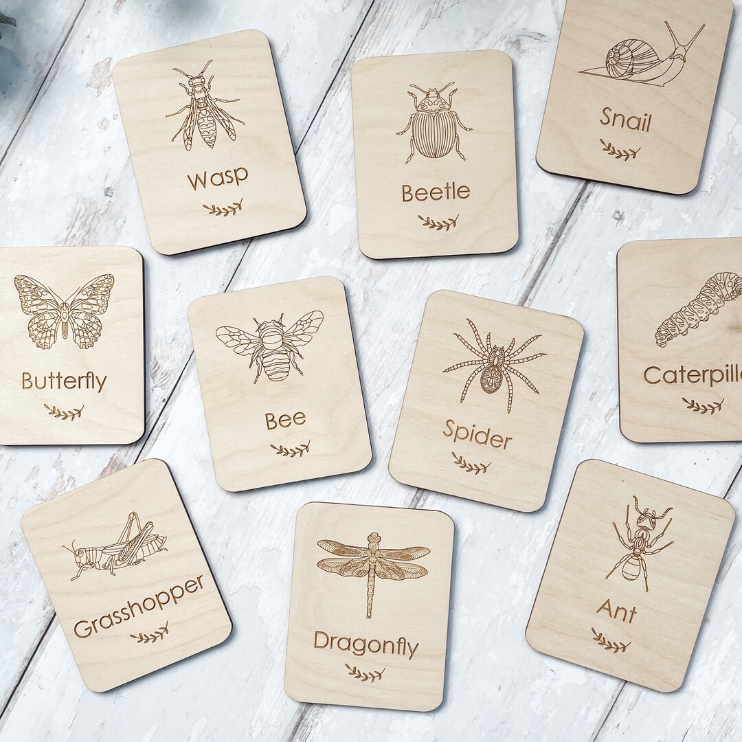 Minibeast Flashcards | Wooden Cards | Pre-school Learning | Flashcards ...