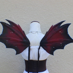 May include: A pair of black and red dragon wings with a textured surface. The wings are attached to a white mannequin with black straps.