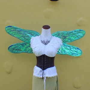 Custom XL 4 wing blue iridescent dragonfly wings image 3