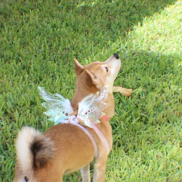 White iridescent fairy inspired wings with white feathers and iridescent jewels for pets