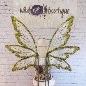 Peut inclure: Des ailes de fée blanches et dorées, présentées sur un mannequin. Les ailes ont un aspect clair et irisé avec des bordures et des accents dorés. Le mannequin porte un corset et une robe. Le texte "wild plum boutique" est visible.