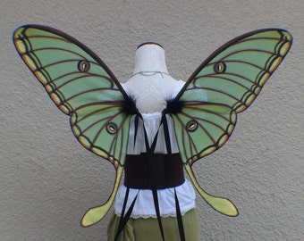 Custom Large Green Hand painted Spanish Luna moth wings