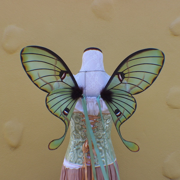 Custom Green African Luna Moth Inspired Wings