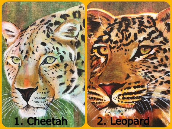 Wildlife Greeting Cards Boxed Set of 6 Endangered Animals - Etsy Wildlife Greeting Cards Boxed Set of 6 Endangered Animals - Etsy