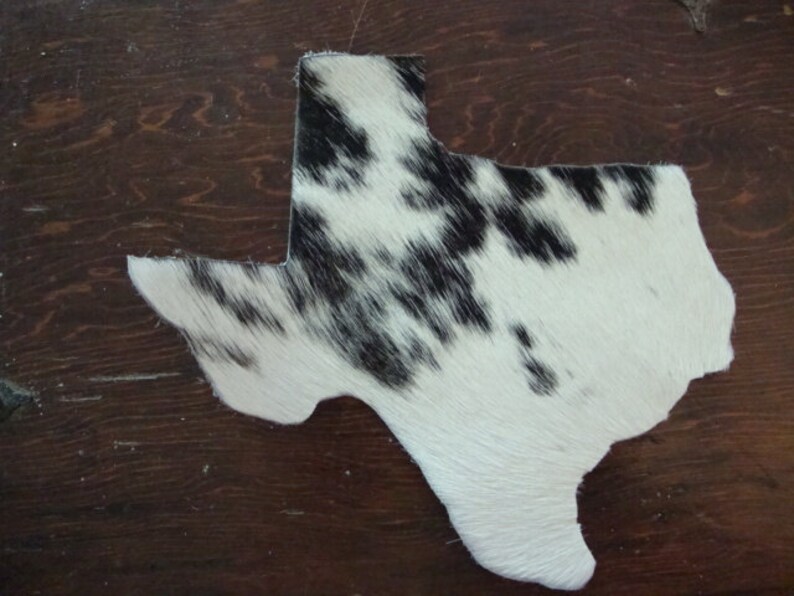 Brazilian Cowhide Texas Coaster/Trivet Etsy