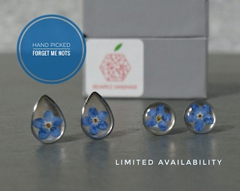 Real Forget Me Not Stud Earrings | Resin Earrings | Flower Earrings | Myosotis earrings | Scottish