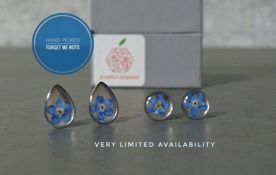 Real Forget Me Not Stud Earrings | Resin Earrings | Flower Earrings | Myosotis earrings | Scottish