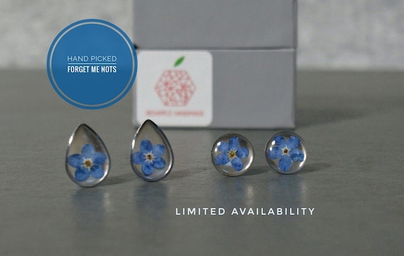 Real Forget Me Not Stud Earrings | Resin Earrings | Flower Earrings | Myosotis earrings | Scottish