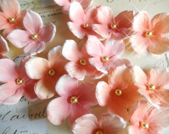 24 Sugar Hydrangeas Coral, Hydrangea Cupcake Topper