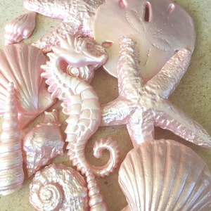 Pink Sugar Seashells, Sand Dollars, Starfish, Edible Seashells, Beach Wedding