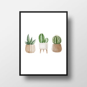 Cacti Minis House Plant Botanical Digital Art Print, House Plant Decor, Plant Lady Wall Art, DOWNLOAD ISTANTANEO