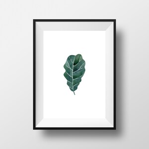Pode incluir: Uma impressão emoldurada de uma única folha verde sobre um fundo branco. A folha é uma pintura em aquarela.