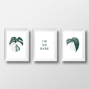 Rare Variegated Monstera Watercolor Digital Art Prints set of THREE (3), Botanical Wall Art, House Plant Home Decor, INSTANT DOWNLOAD