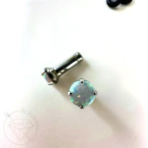 May include: Two pieces of jewelry: a silver-colored ear plug and a round stud with a shimmering, opalescent stone. The stud is held in place by four silver prongs. The ear plug has a similar stone at the end.