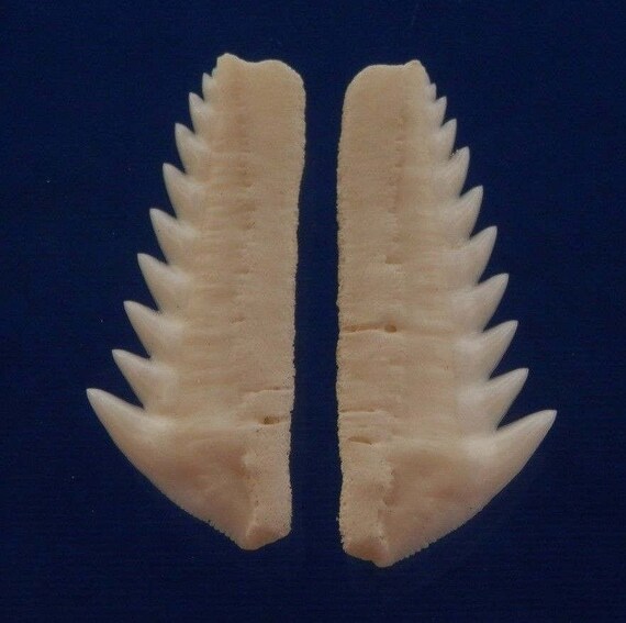 Image 0 Image 0