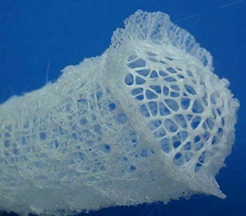 Venus Flower Basket Euplectella Aspergillum Wedding Gift Etsy India