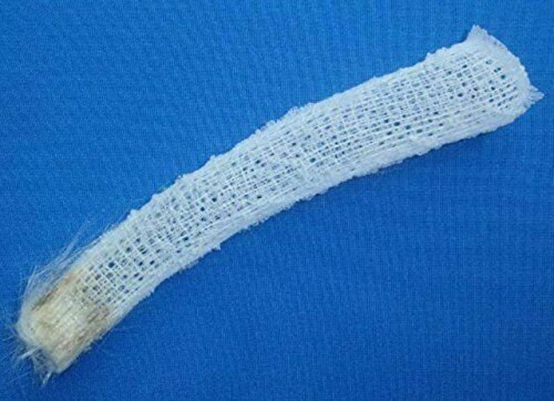 Venus Flower Basket Euplectella Aspergillum Wedding Gift Etsy