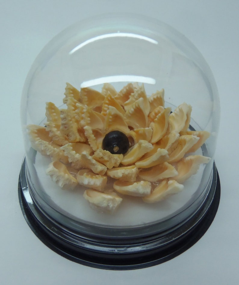 Dome cut реле