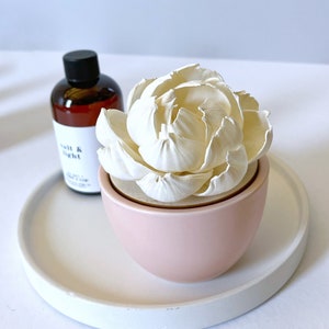 May include: A white ceramic flower diffuser with a pink ceramic base. The diffuser is sitting on a white ceramic plate. The text "Salt & Light" is visible on the bottle behind the diffuser.