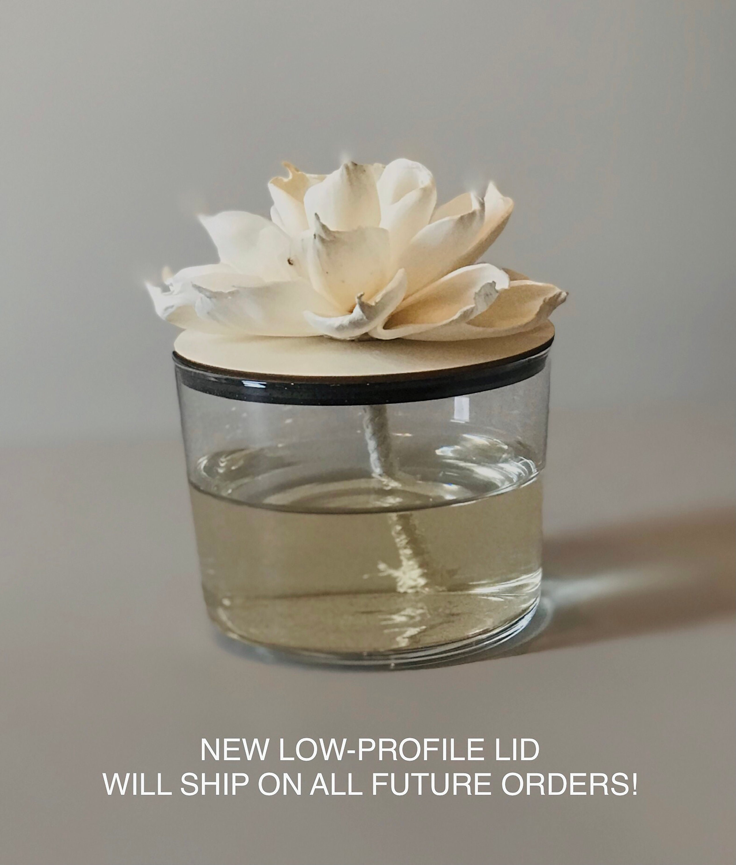 Floral Passive Diffuser: Spa Gift, Essential Oils & Non-toxic ...