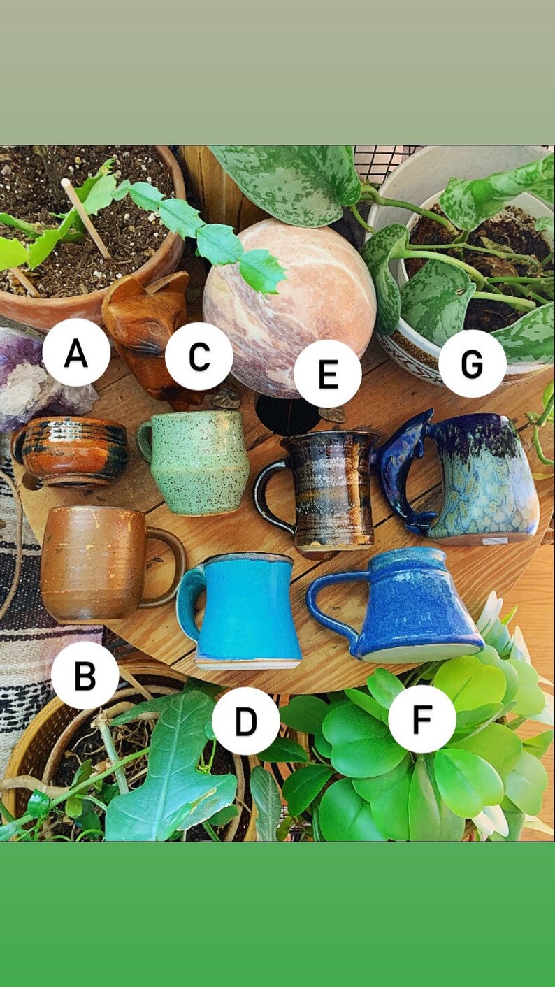 May include: Assortment of eight ceramic mugs in various colours and patterns, including blue, green, brown, and white. The mugs are arranged on a wooden surface with plants in the background.