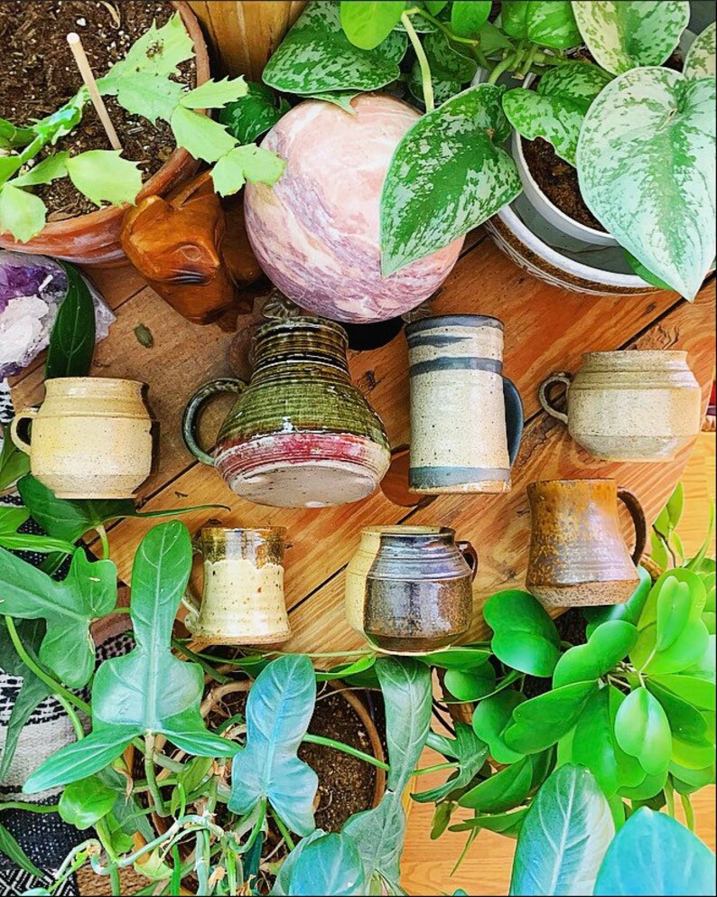 May include: A collection of seven ceramic mugs in various colors and patterns, including brown, green, blue, and white. The mugs are arranged on a wooden surface with green plants in the background.