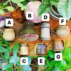 May include: A collection of ten ceramic mugs in various colors and patterns, including green, brown, blue, and white. The mugs are arranged on a wooden surface with green plants in the background.