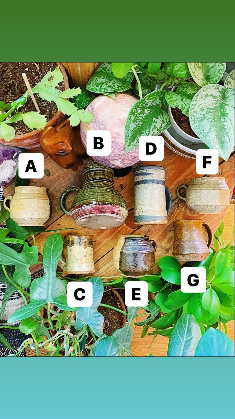 May include: A collection of ten ceramic mugs in various colors and patterns, including green, brown, blue, and white. The mugs are arranged on a wooden surface with green plants in the background.