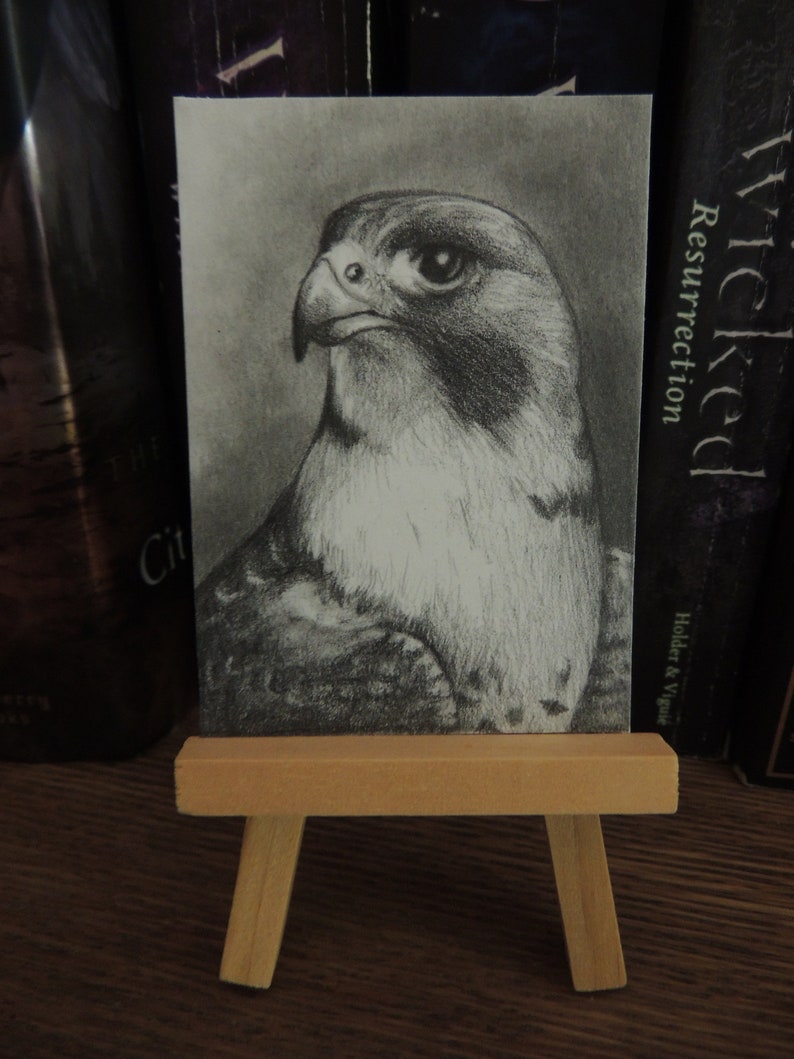 Peregrine Falcon ACEO