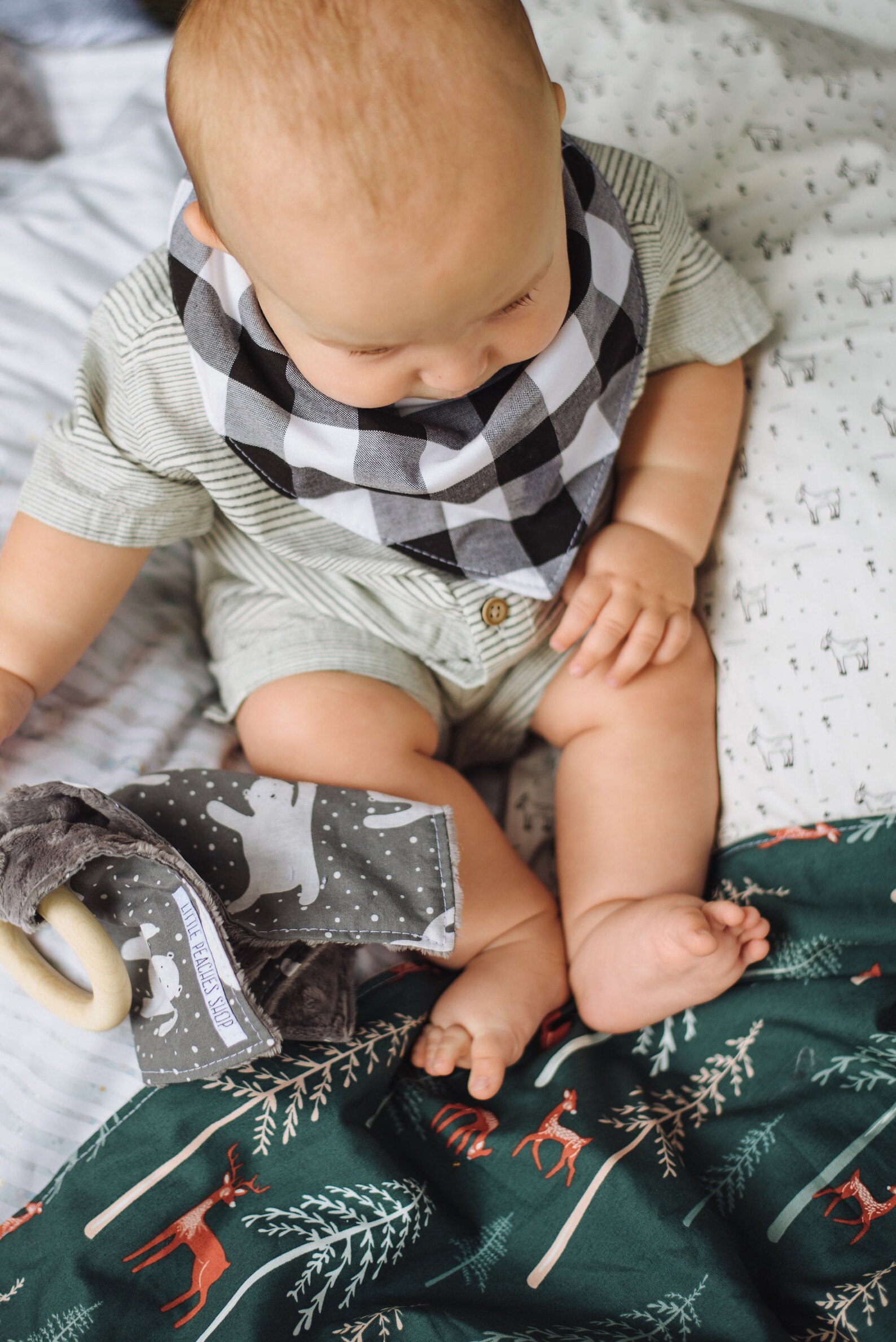 Goat Baby Blanket. Minky Baby Blanket. Baby Blankets. Security Etsy