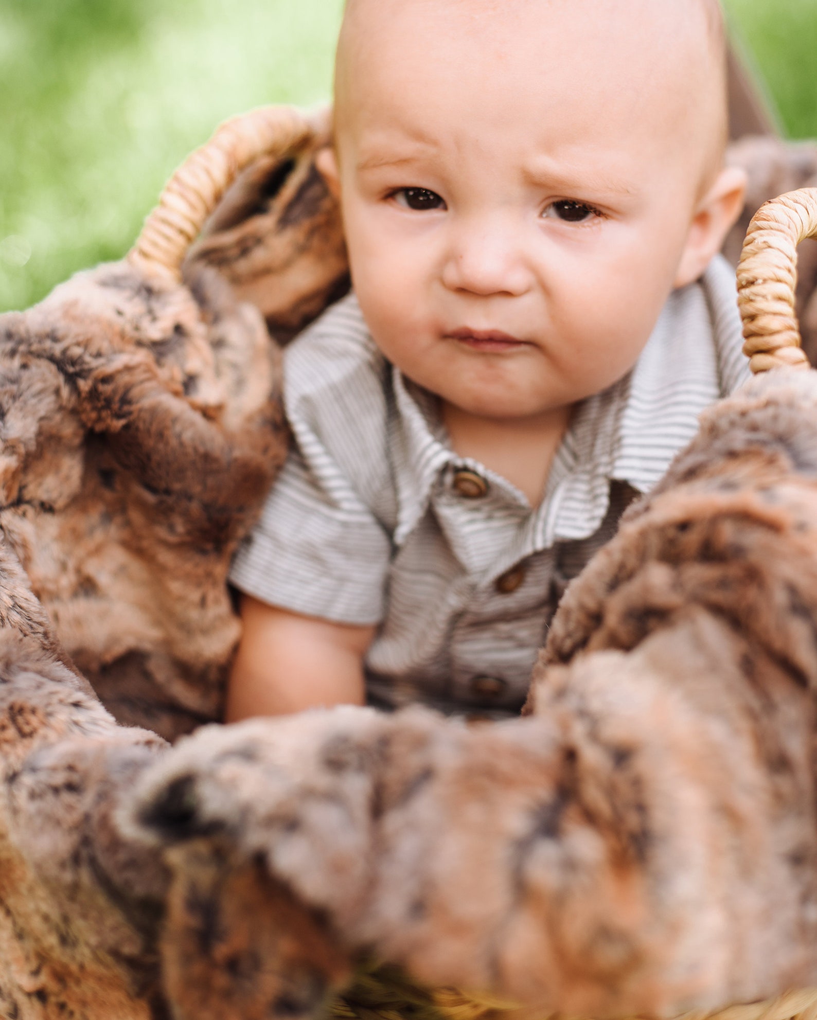Goat Baby Blanket. Minky Baby Blanket. Baby Blankets. Security Etsy