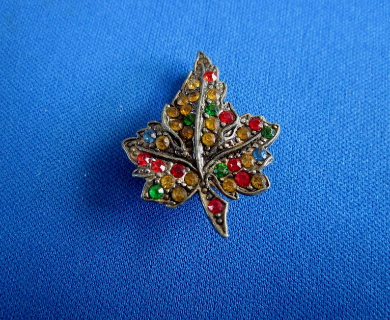 Rhinestone Leaf Shoe Clip
