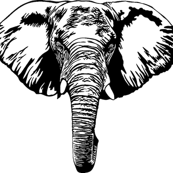 Elephant Head Svg | Elephant Shirt Svg | Animal Shirt Svg | Animal Head Svg | Cute Elephant Svg | Elephant Cutfiles | Elephant Clipart