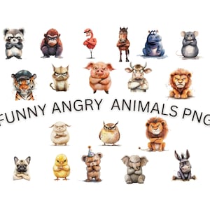 Funny Grumpy Animals Clipart, Watercolor Cute Angry, Nursery Decor, Funny Animals Clipart, Woodland Jungle Safari Animal Png