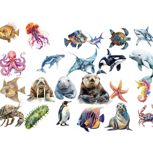 Meerestiere Clipart | Niedliche Ozeantiere PNG, Unterwasserkreaturen, bunte Sea Life Grafiken, kommerzielle Lizenz inbegriffen