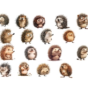 34 Cute Hedgehog Clipart, Cute Baby Hedgehog Clipart, Watercolor Cute Hedgehog High Quality Transparent Background 300 Dpı PNG Clipart