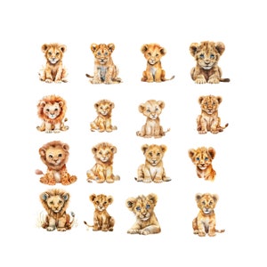 Pacote de clipart de leão bebê fofo, conjunto de arte para impressão de ilustração de animal em aquarela, clipart de filhote de leão adorável