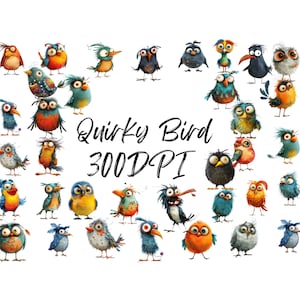 Quirky Bird Clipart PNG Funny Bird Illustrations Whimsical Birds clip art  whimsy graphics cartoon bird faces, Digital Download