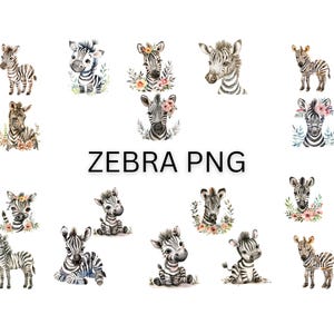 Cute Little Baby Zebra Watercolor Clipart Jungle Animal Baby Shower Png Baby Zebra Clip Art Commercial Use  Safari Clipart, Cute Animals