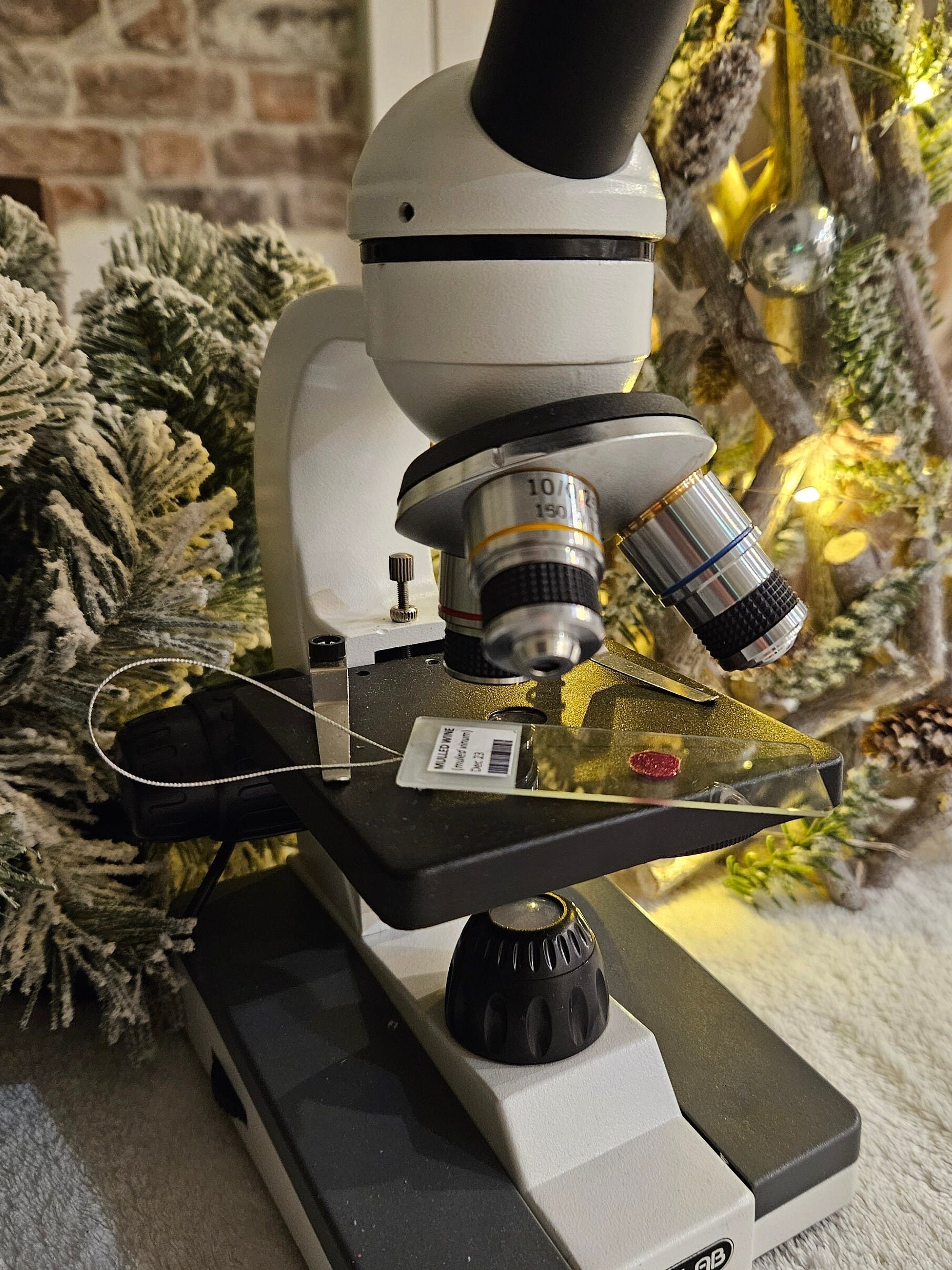 Microscope Slide Christmas Tree Ornament Decoration Etsy UK