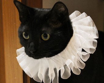 cat neck ruff